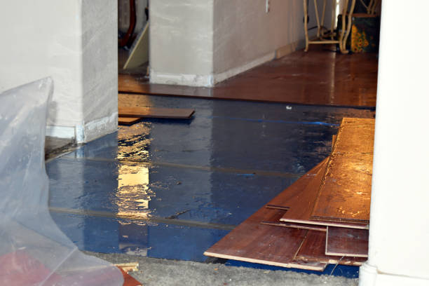 Professional Sewage Cleanup technician working in Rensselaer, IN